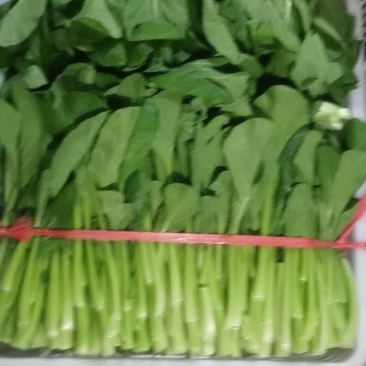 菜心