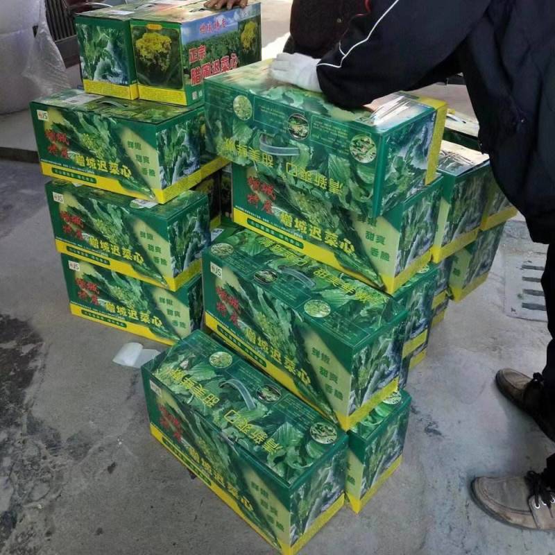 增城迟菜心