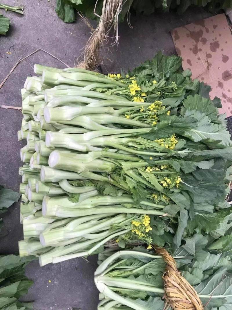 增城迟菜心