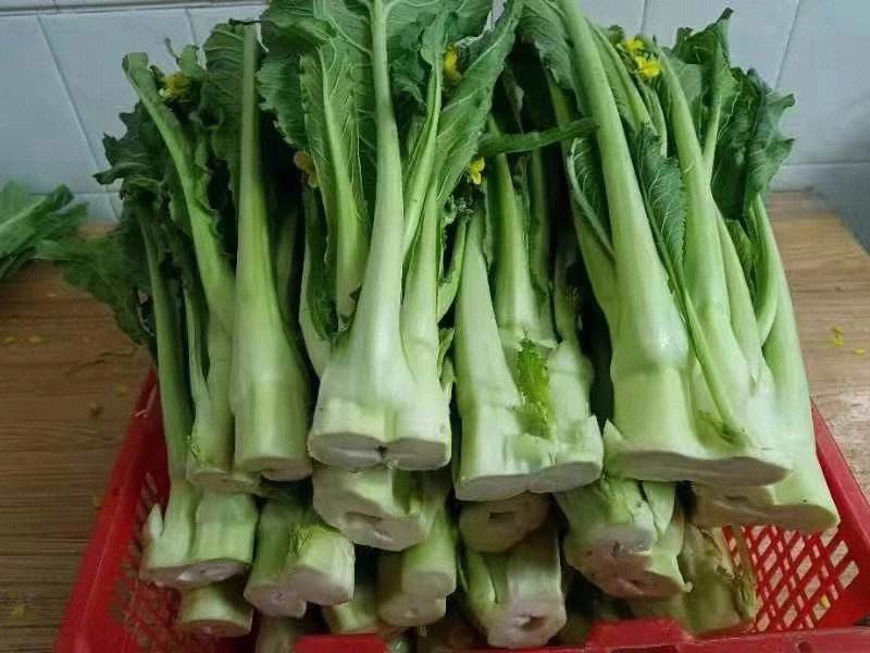 增城迟菜心