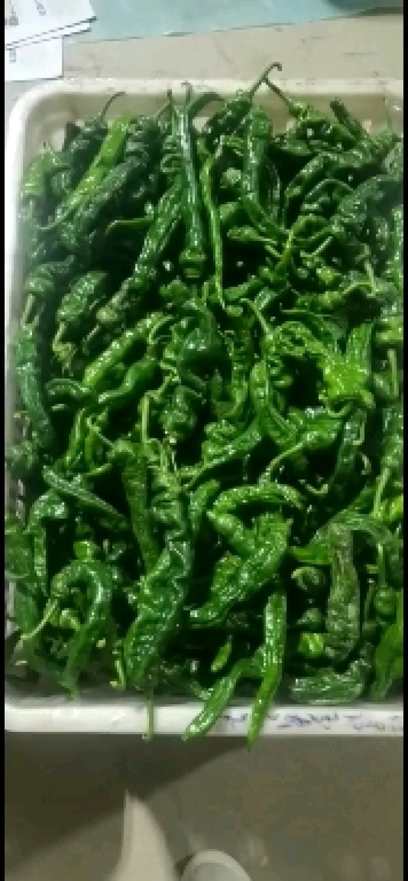 小皱皮