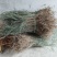 夜关门带根色好足干质量很好根多，欢迎下单