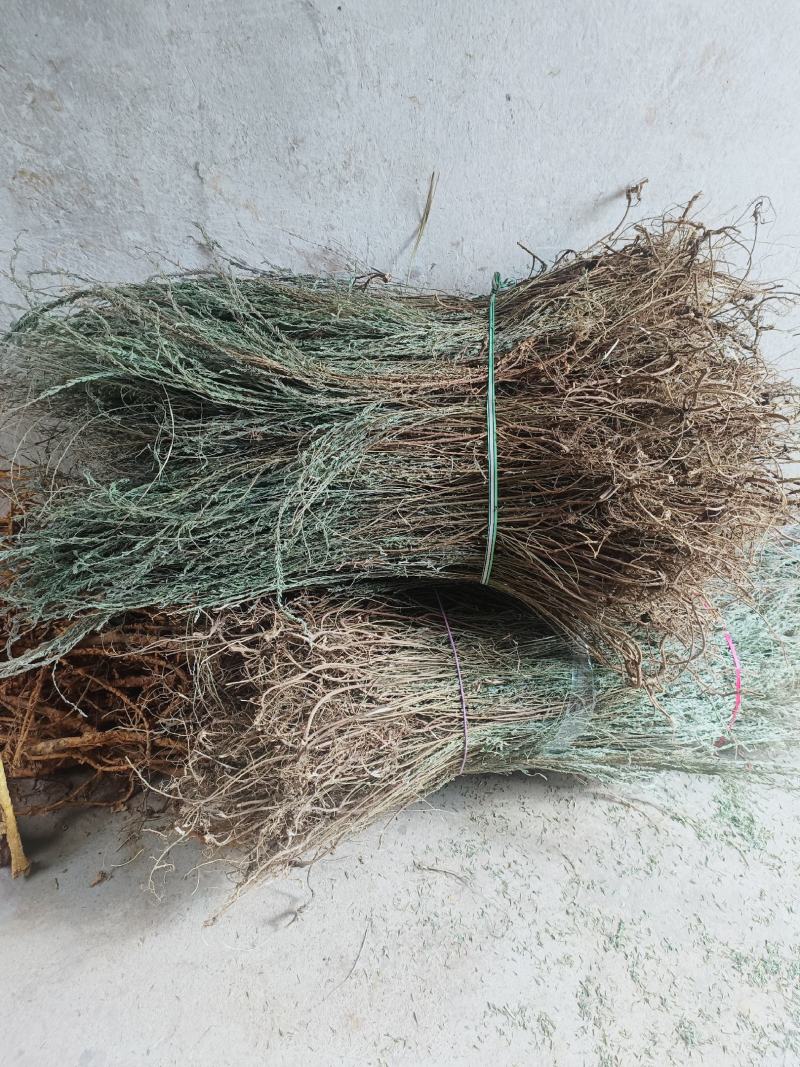 夜关门带根色好足干质量很好根多，欢迎下单