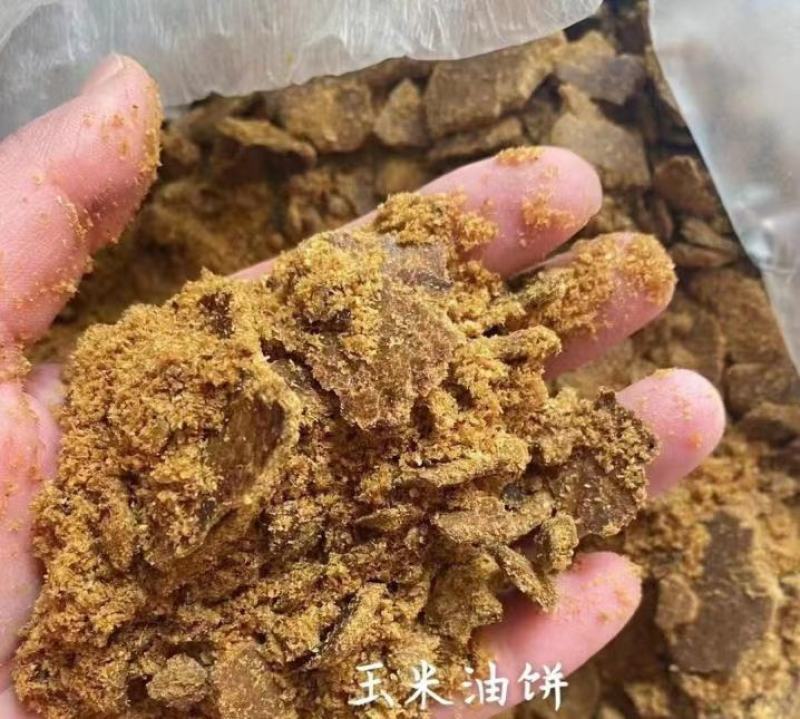 玉米油饼，蛋白11脂肪11