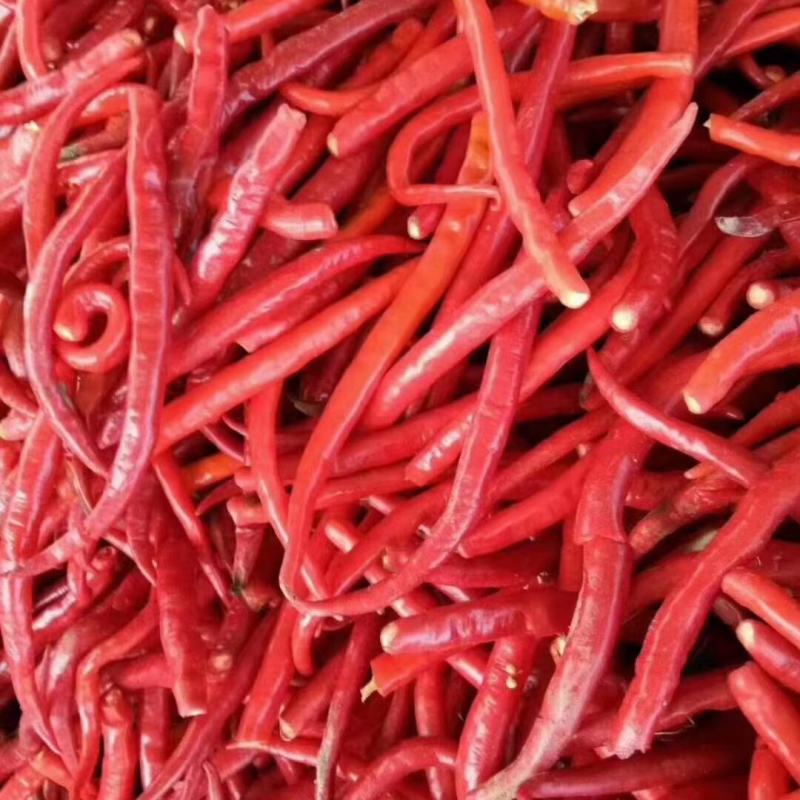 鲜辣椒