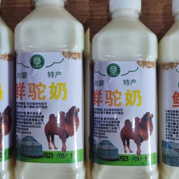 生鲜骆驼奶3斤3瓶包邮当日现挤纯驼奶顺丰空运快递速达