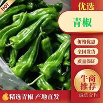 【青椒】陵川县青椒鲜辣椒品种齐全价格品质保证售后无忧