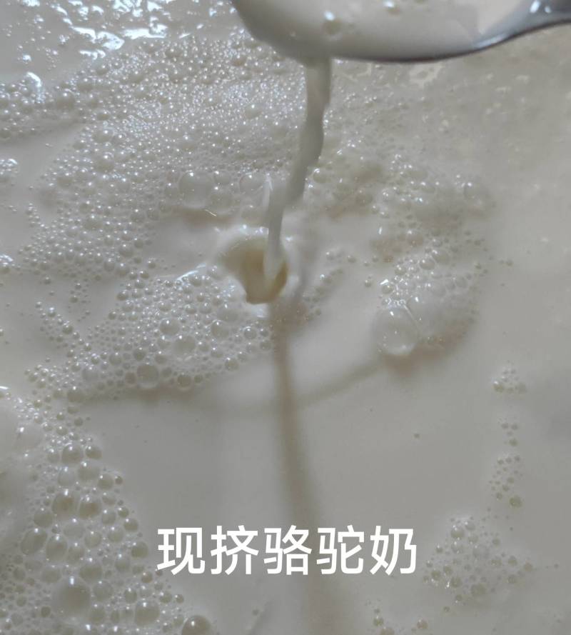 骆驼奶4瓶4斤包邮当日现挤鲜奶零添加空运保鲜隔日达