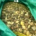车螺苗规格100-130头大量八成螺，人工挖保质量