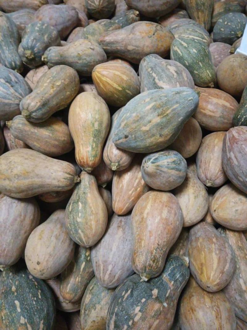 香芋南瓜大量上市产地直发一手货源欢迎选购