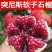 红皮黑籽石榴苗中侬红石榴苗突尼斯软籽石榴苗包品种