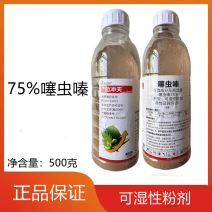 75%噻虫嗪可湿性粉剂稻飞虱杀虫剂
