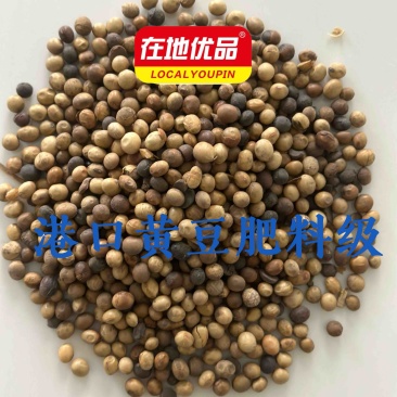 纯黄豆粒肥料级别100斤一袋货真价实