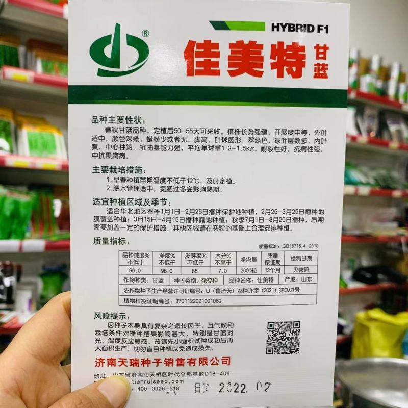 佳美特甘蓝种子春秋两用型大包头菜种子黄心甘蓝菜莲花白种子