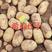 榆林土豆希森6号，纯沙漠种植土豆，颜色薯型个头杠杠的