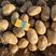 榆林土豆希森6号，纯沙漠种植土豆，颜色薯型个头杠杠的