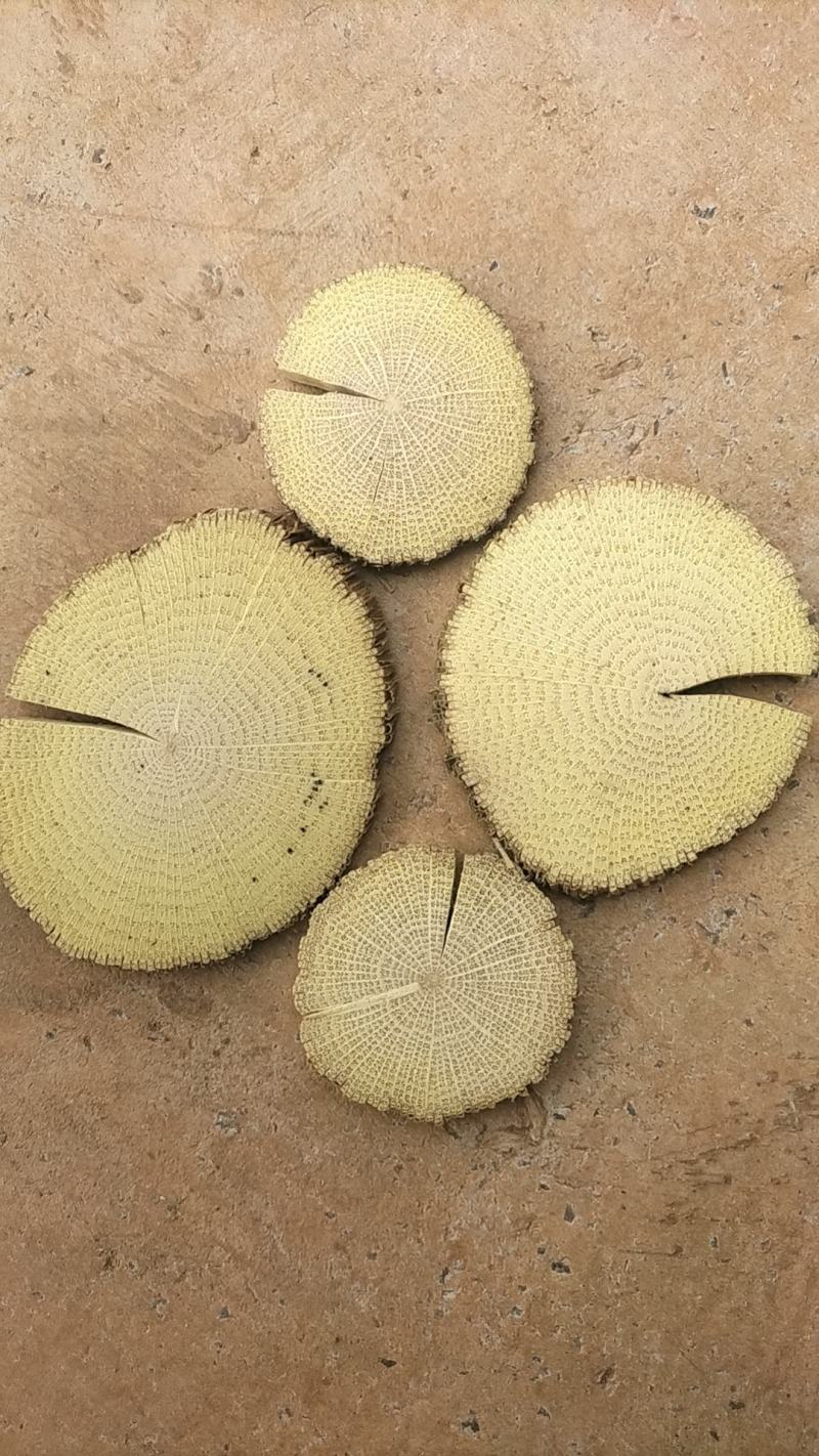 （热销)野生木通产区直供货源充足量大从优视频看货欢迎定购