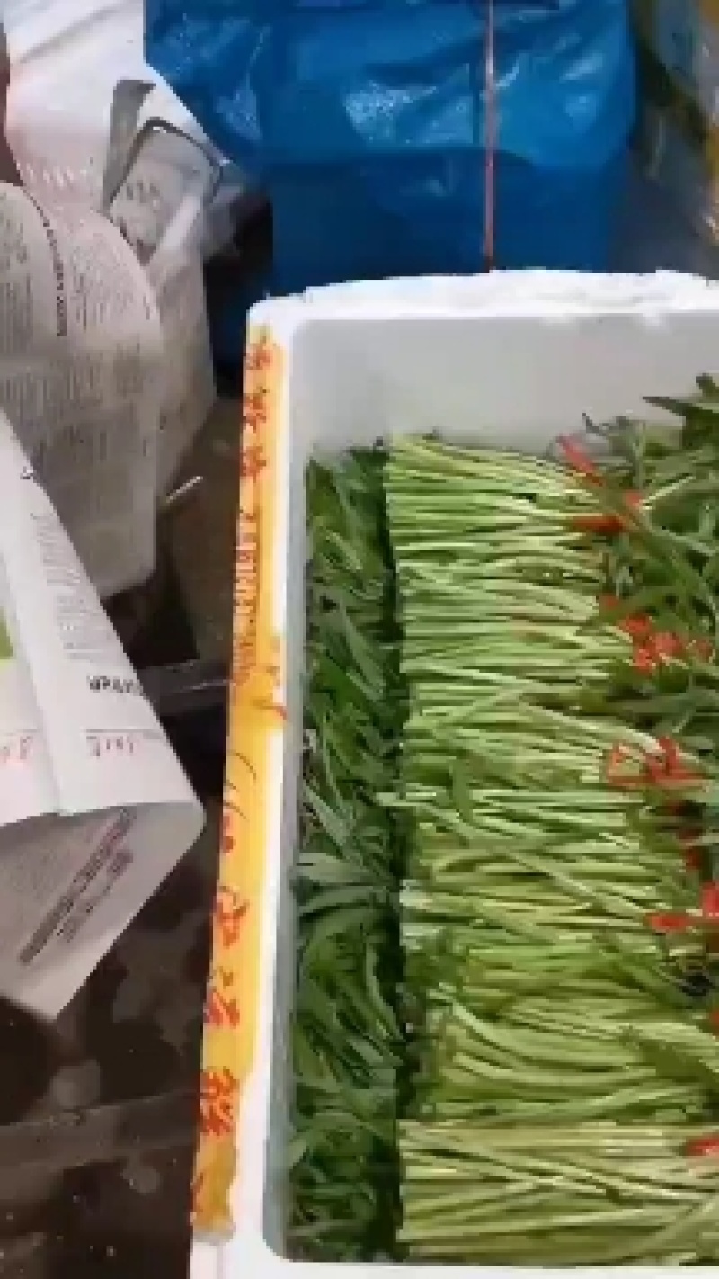 精品