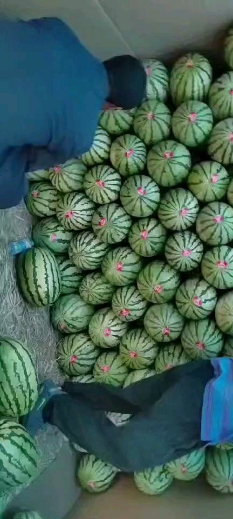 正宗石头瓜便宜了，有需要的老板看过来，大量有货，质量保证