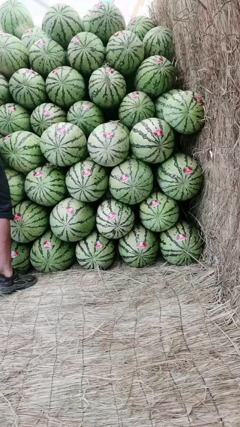 正宗石头瓜便宜了，有需要的老板看过来，大量有货，质量保证