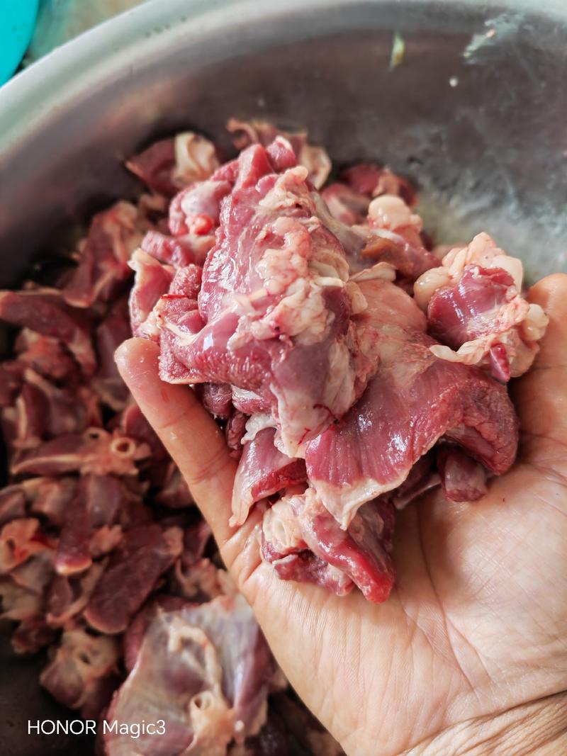 【羊心尖肉块】羔羊心尖肉可以穿串，可以炖羊肉，可以做馅，