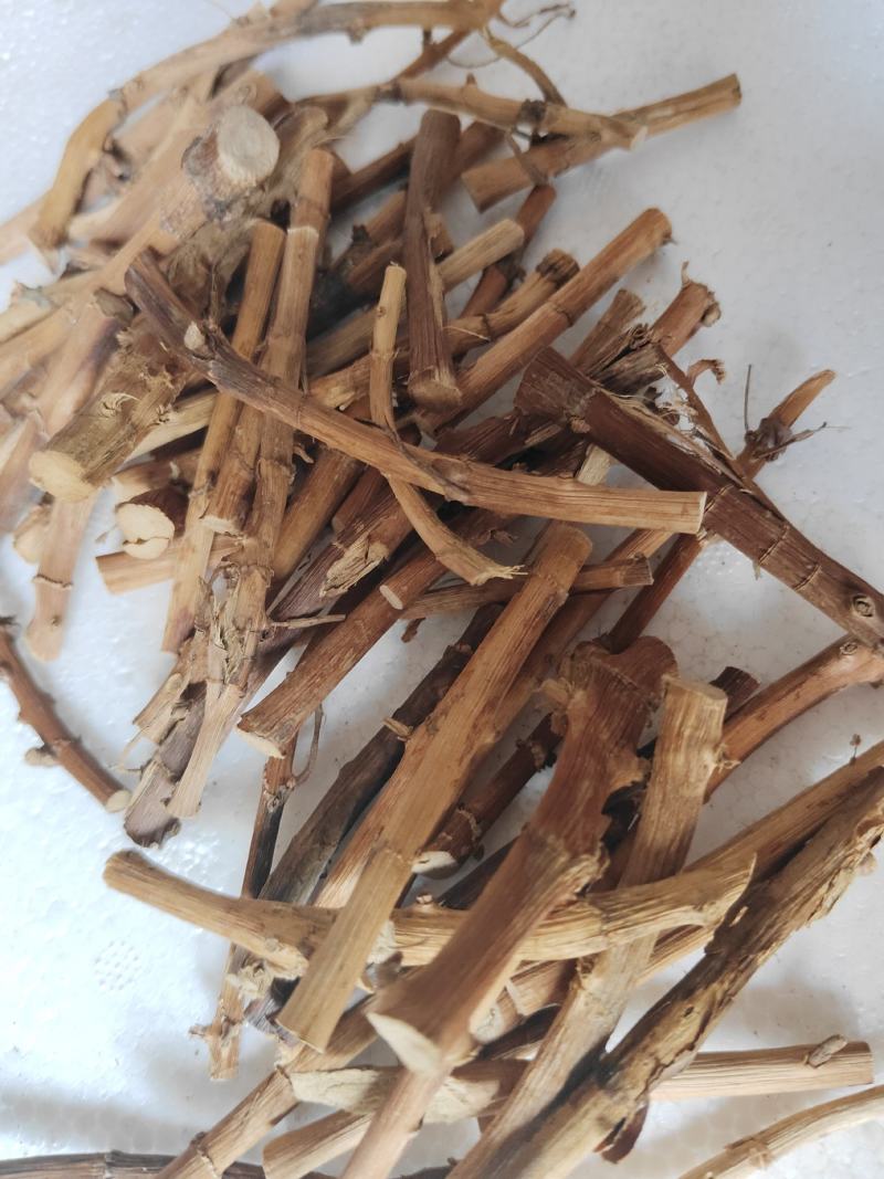 砂仁根干货广东阳春蟠龙精选特级干根货汤料产地直发
