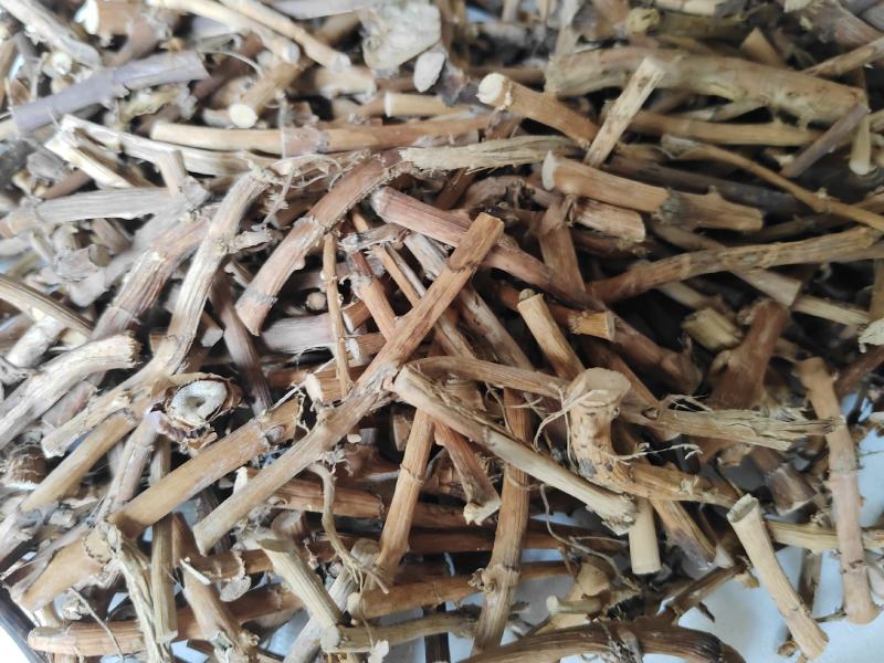 砂仁根干货广东阳春蟠龙精选特级干根货汤料产地直发