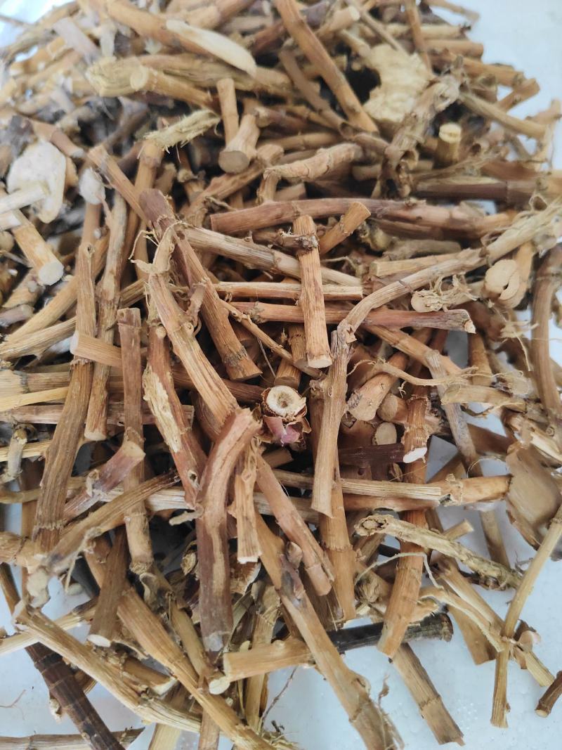 砂仁根干货广东阳春蟠龙精选特级干根货汤料产地直发