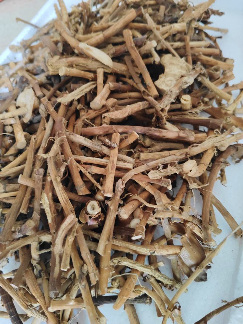 砂仁根干货广东阳春蟠龙精选特级干根货汤料产地直发