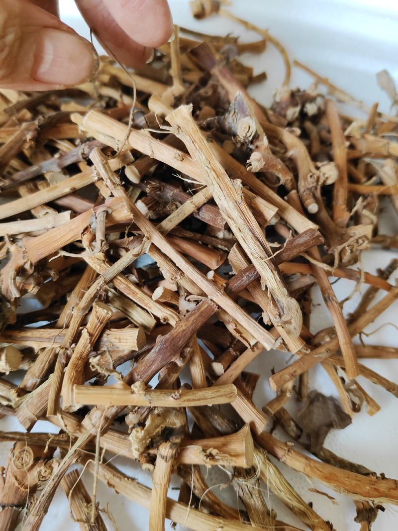 砂仁根干货广东阳春蟠龙精选特级干根货汤料产地直发