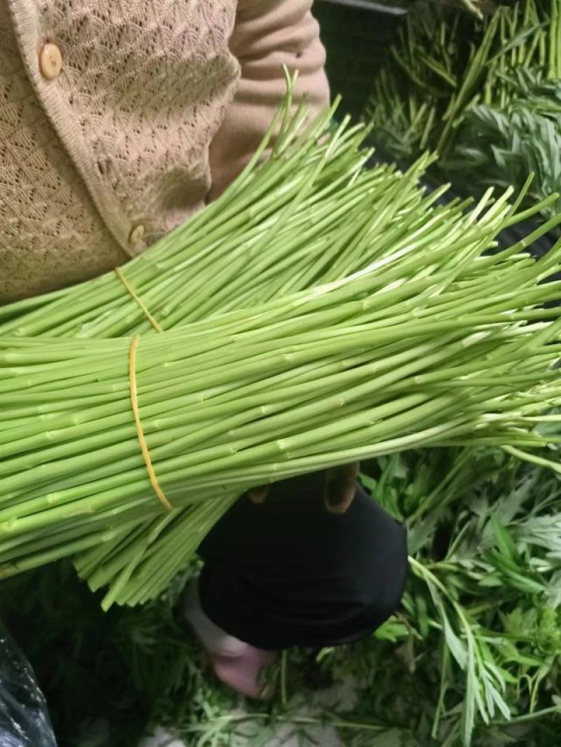 【芦蒿炒咸肉】