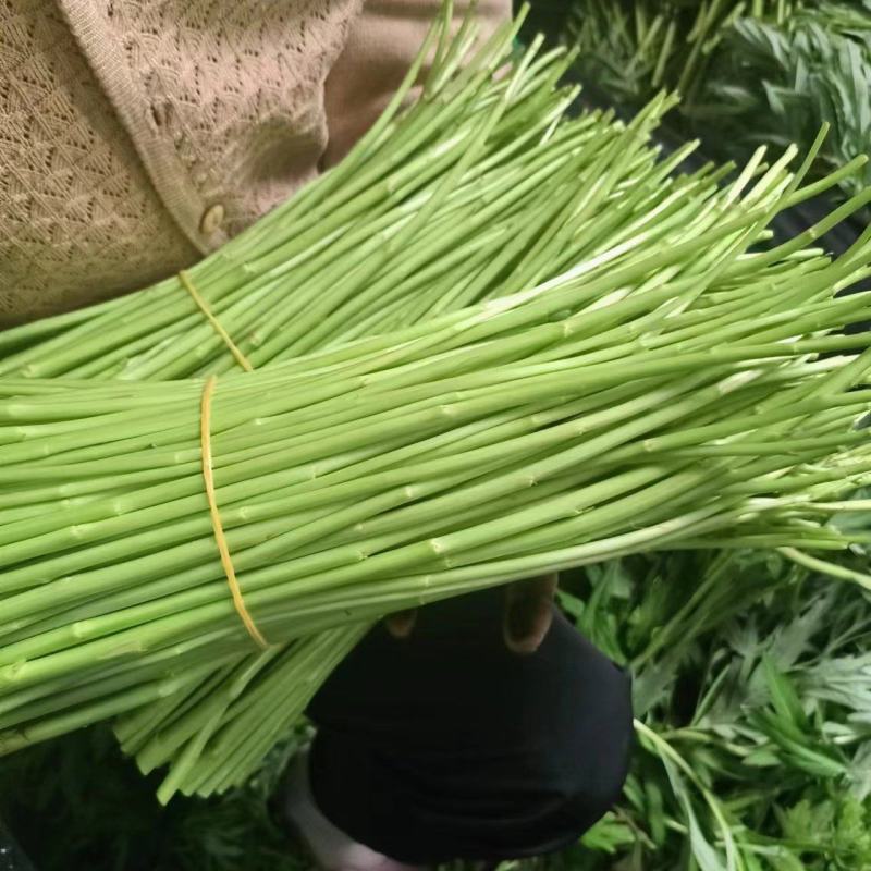 【芦蒿炒咸肉】