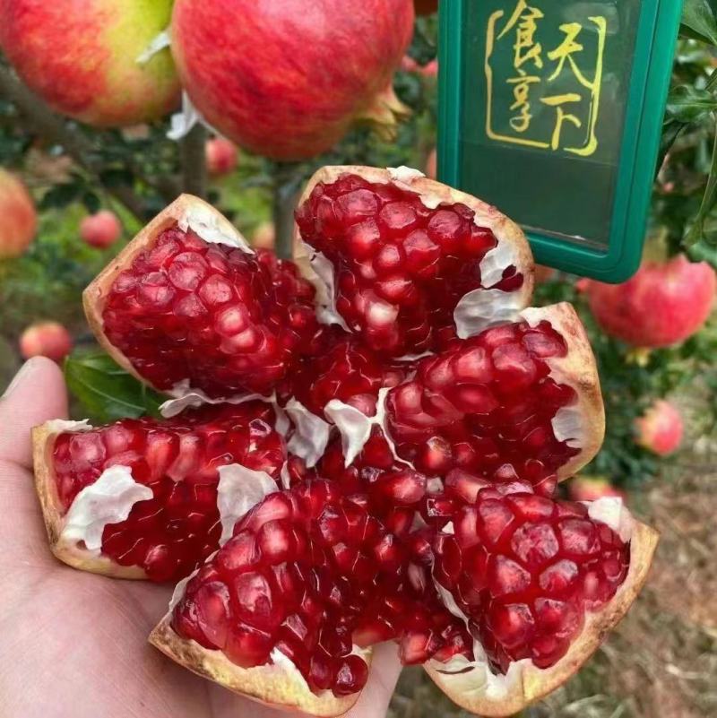 突尼斯软籽石榴优质石榴产地直发水份多甜欢迎选购