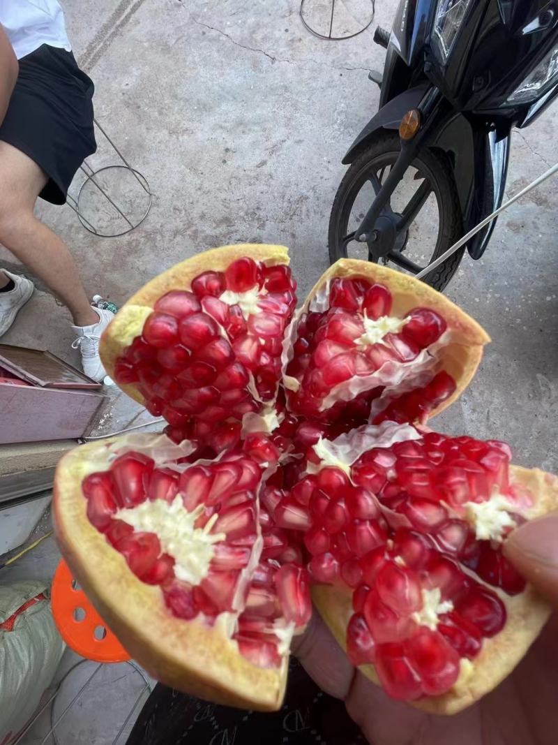 突尼斯软籽石榴优质石榴产地直发水份多甜欢迎选购