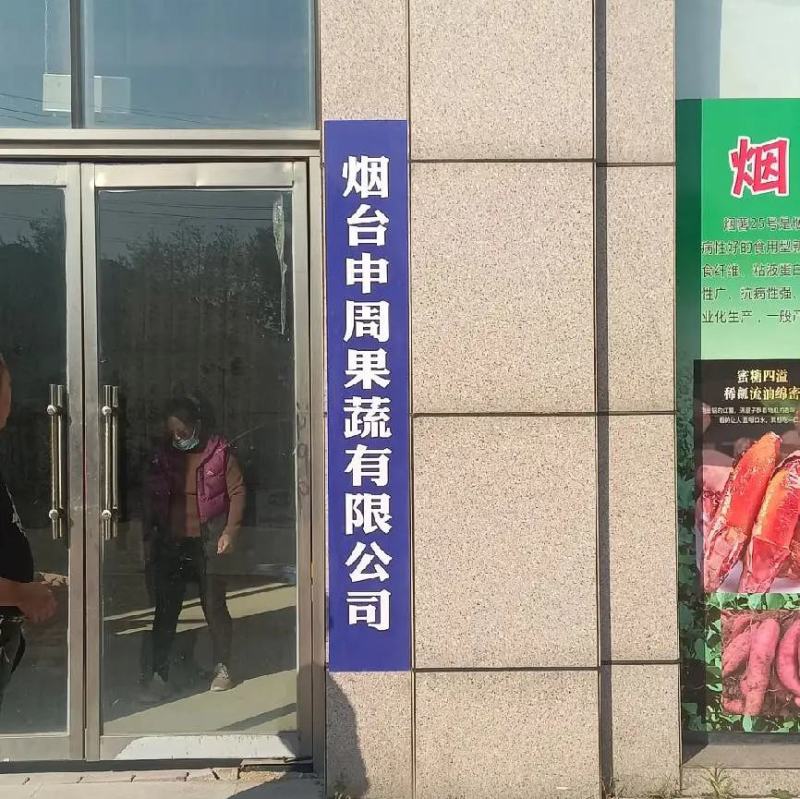 烟台烟薯二五