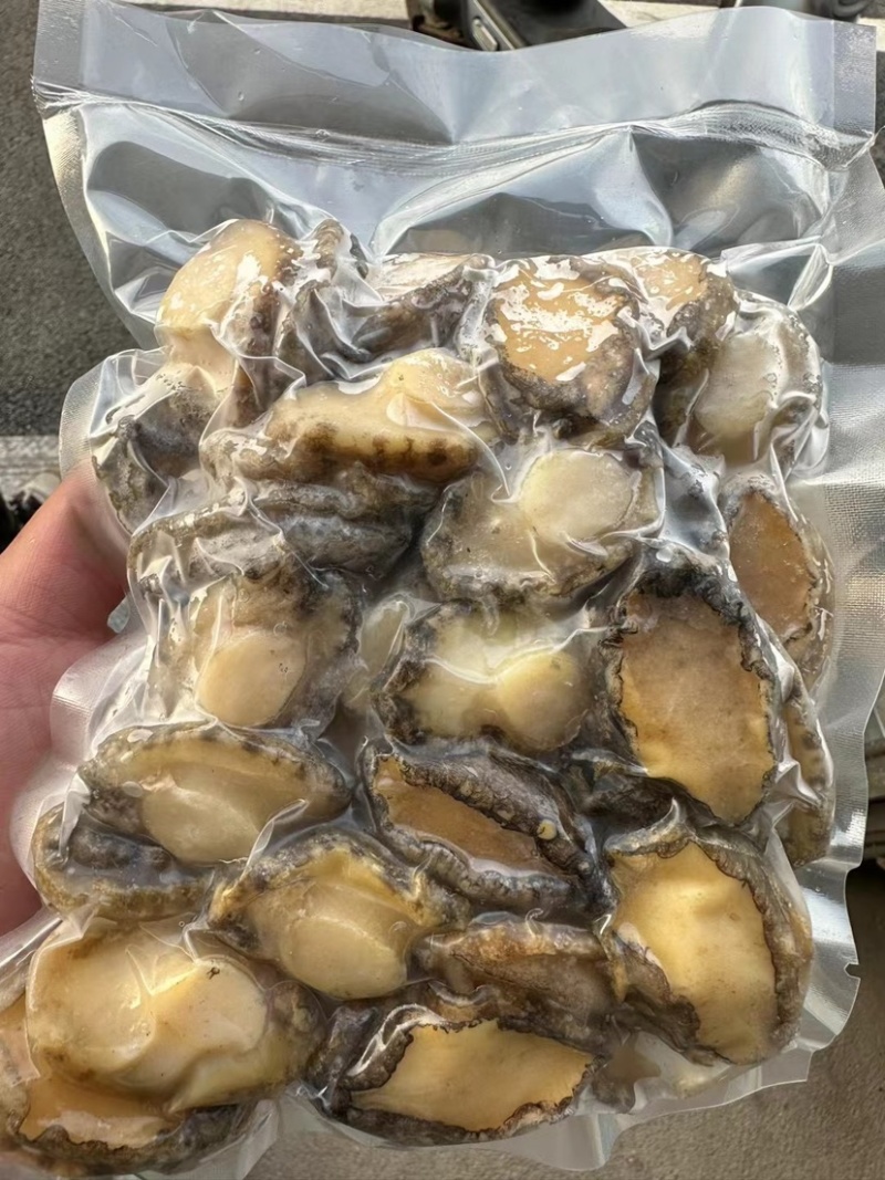 鲜冻鲍鱼肉活鲍现剥去壳去内脏捞汁食材九孔鲍鱼大小规格都有