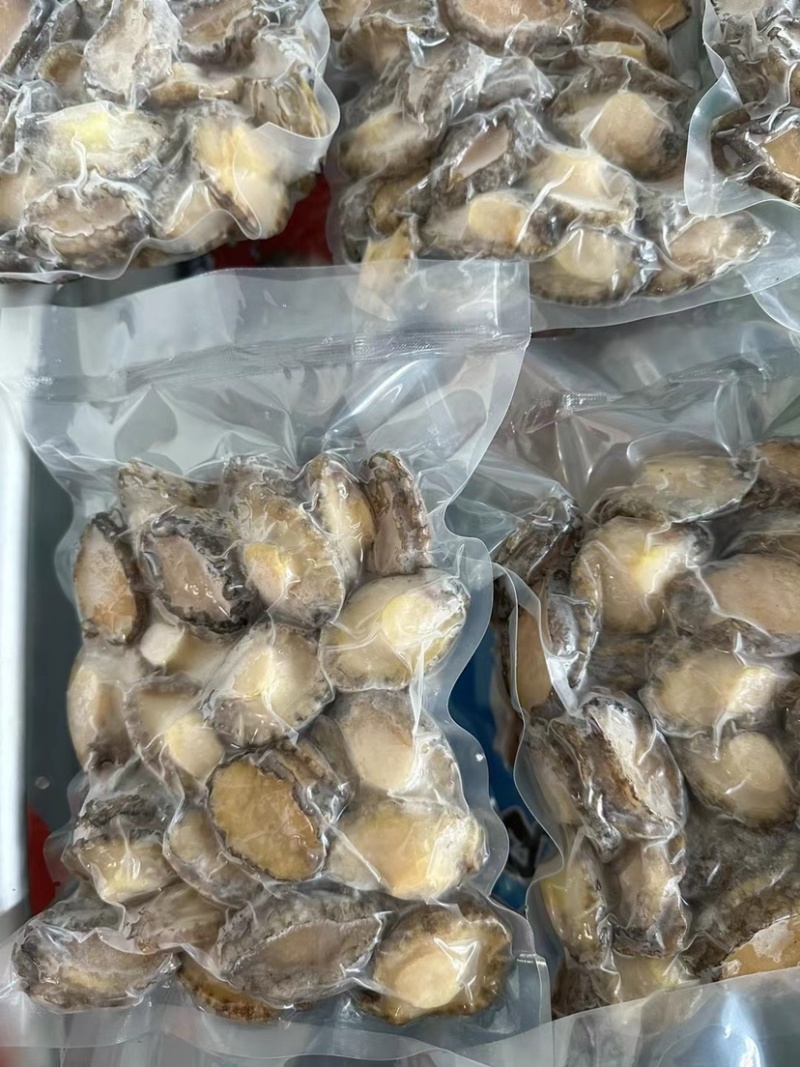 鲜冻鲍鱼肉活鲍现剥去壳去内脏捞汁食材九孔鲍鱼大小规格都有