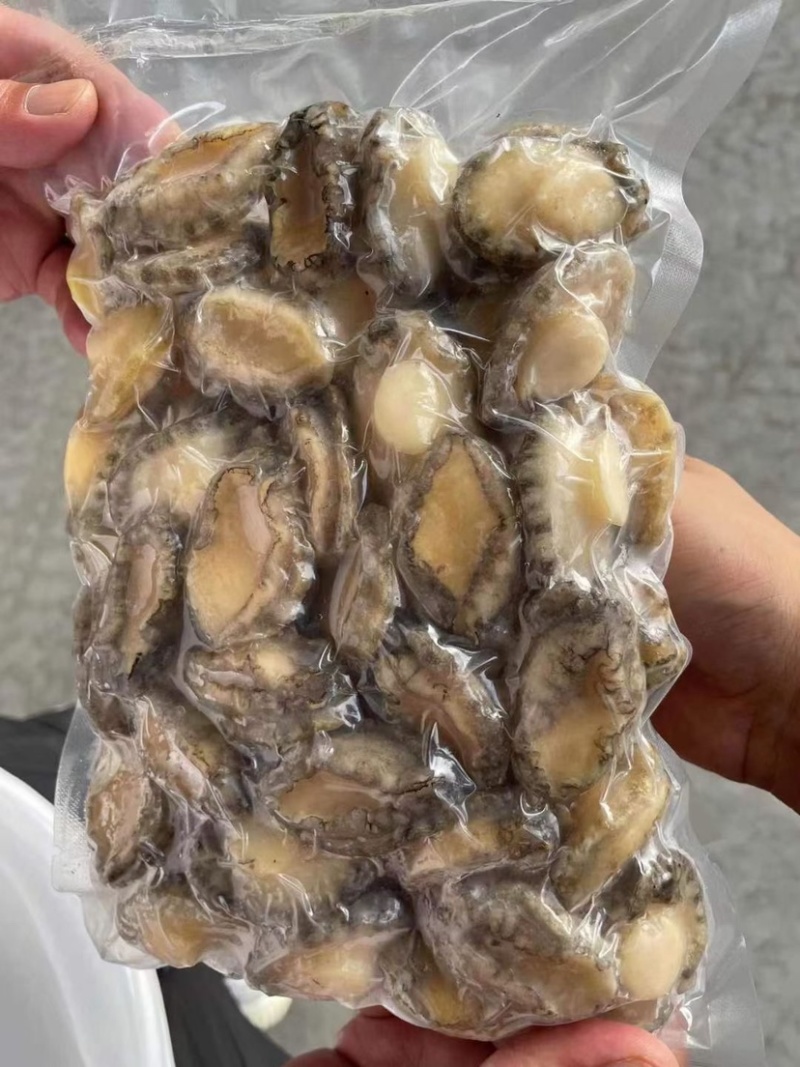 鲜冻鲍鱼肉活鲍现剥去壳去内脏捞汁食材九孔鲍鱼大小规格都有