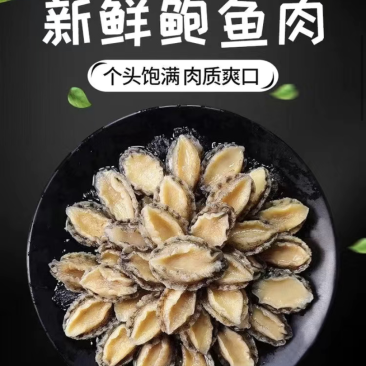鲜冻鲍鱼肉活鲍现剥去壳去内脏捞汁食材九孔鲍鱼大小规格都有