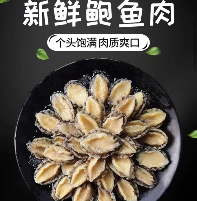鲜冻鲍鱼肉活鲍现剥去壳去内脏捞汁食材九孔鲍鱼大小规格都有