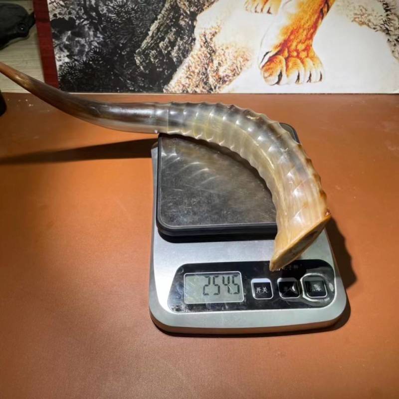 仿炫羊角现货，非常漂亮完美弧度很难的