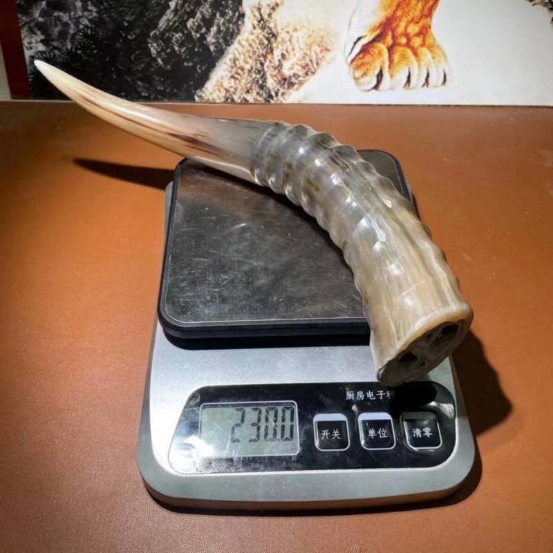 仿炫羊角现货，非常漂亮完美弧度很难的