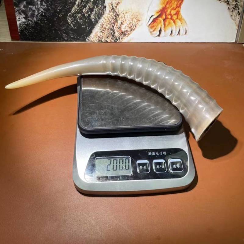 仿炫羊角现货，非常漂亮完美弧度很难的