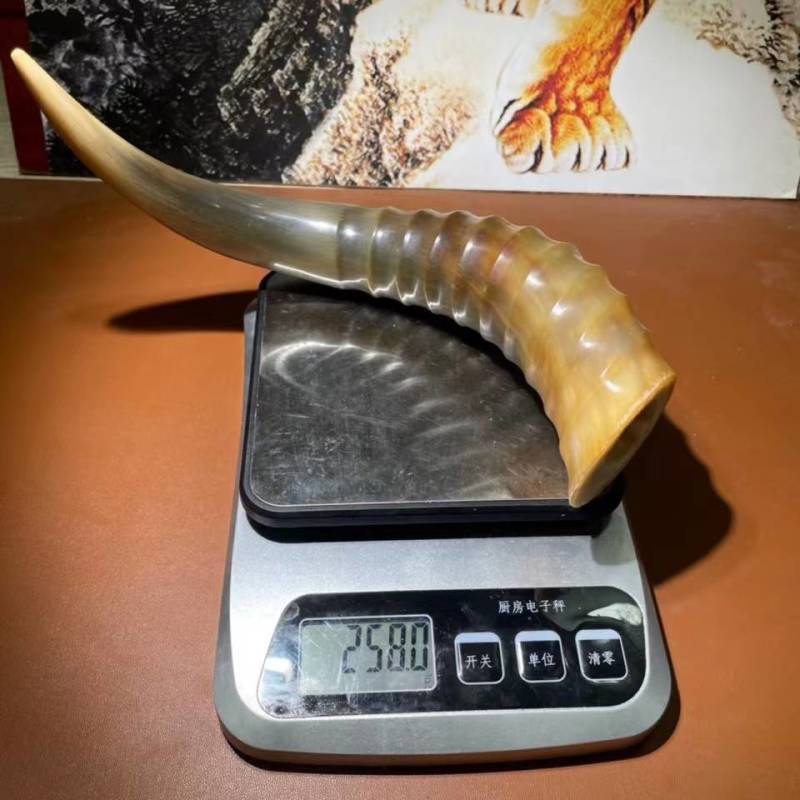 仿炫羊角现货，非常漂亮完美弧度很难的