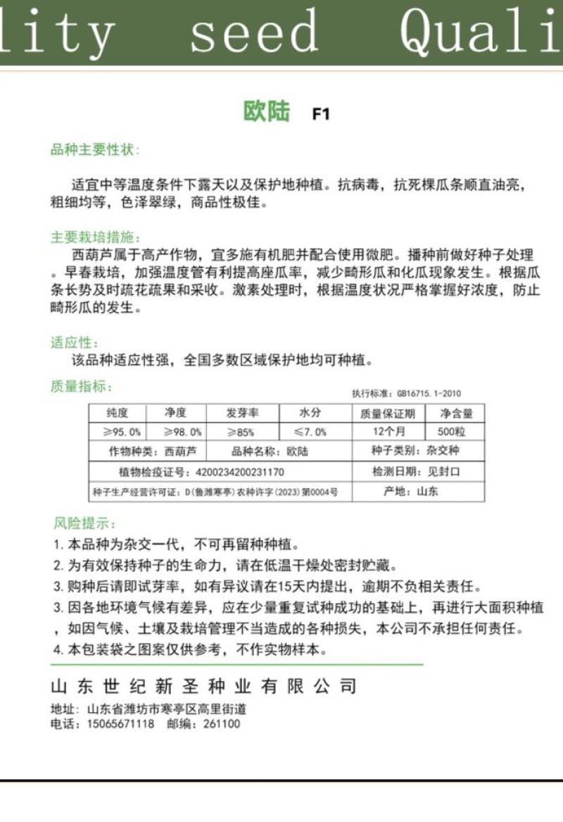 山东潍坊寿光云贵川西葫芦苗子种子，南方北方专用西葫芦种子