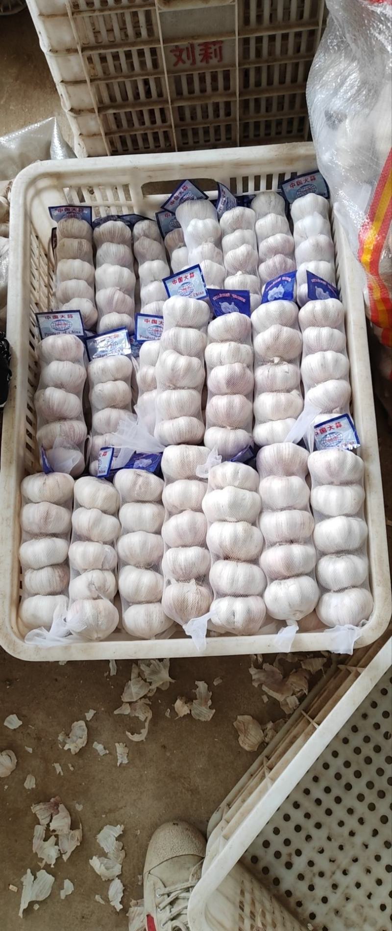 山东金乡大蒜量大从优品质保证产地直发量大从优欢迎来电联系