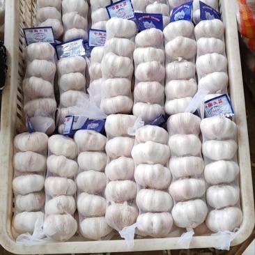 山东金乡大蒜量大从优品质保证产地直发量大从优欢迎来电联系