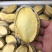 冻干鲍鱼