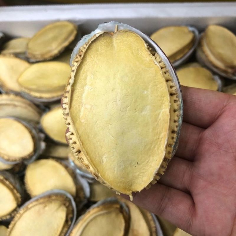 冻干鲍鱼