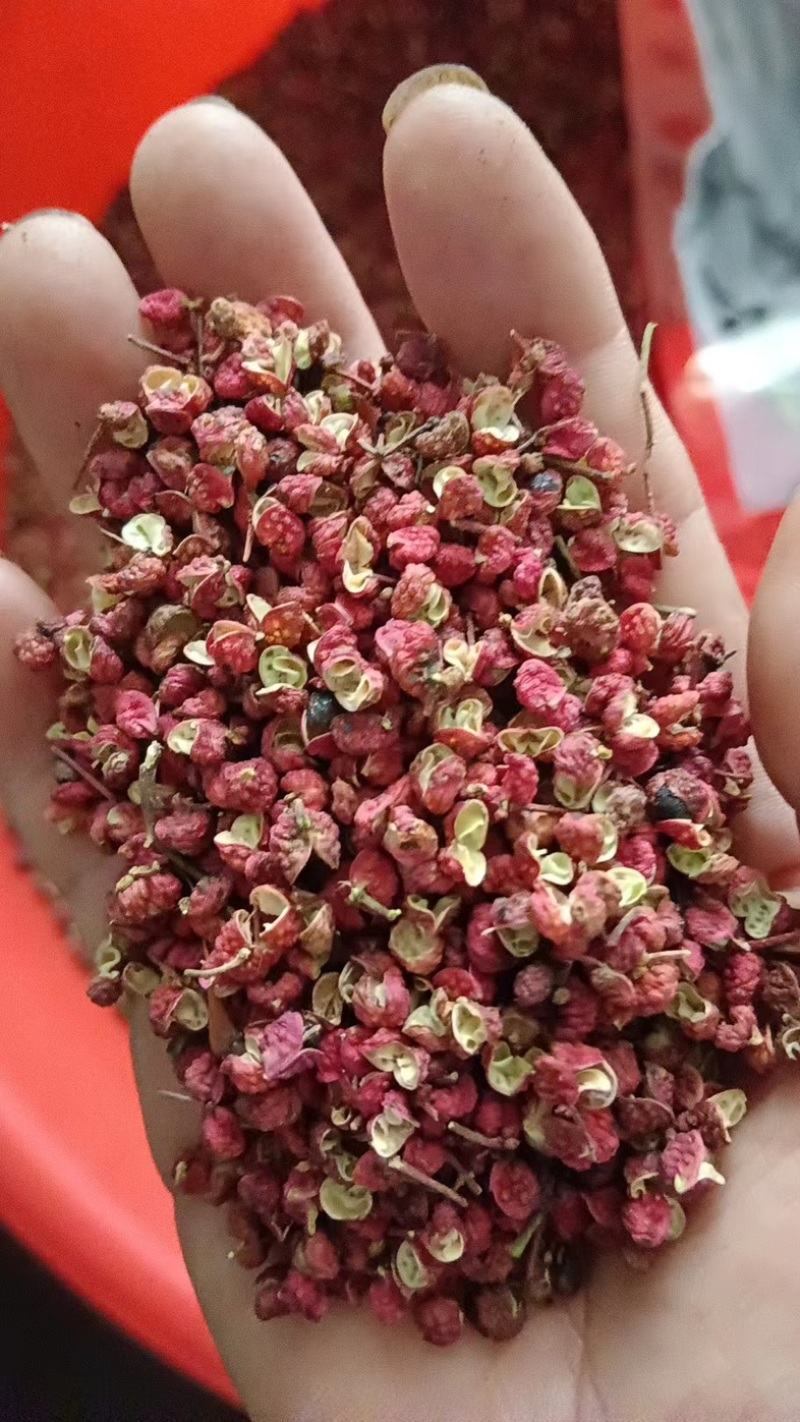 陕西韩城【精品大红袍花椒】产地直发诚信经营量大从优！